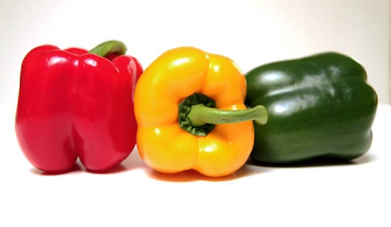 Can dogs eat red peppers