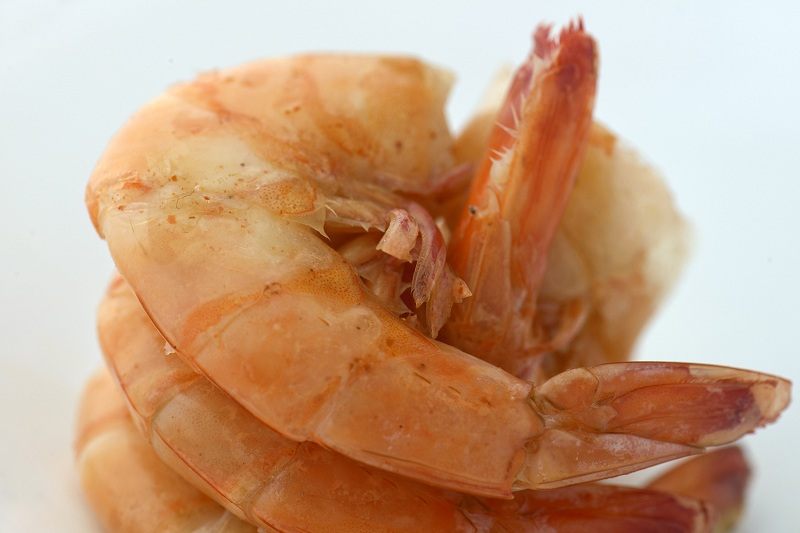 Can-dogs-eat-shrimp-1