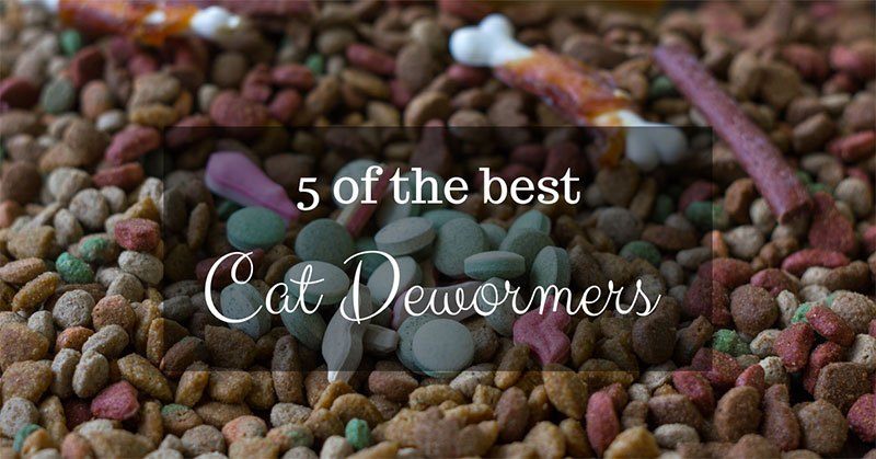 best cat dewormer