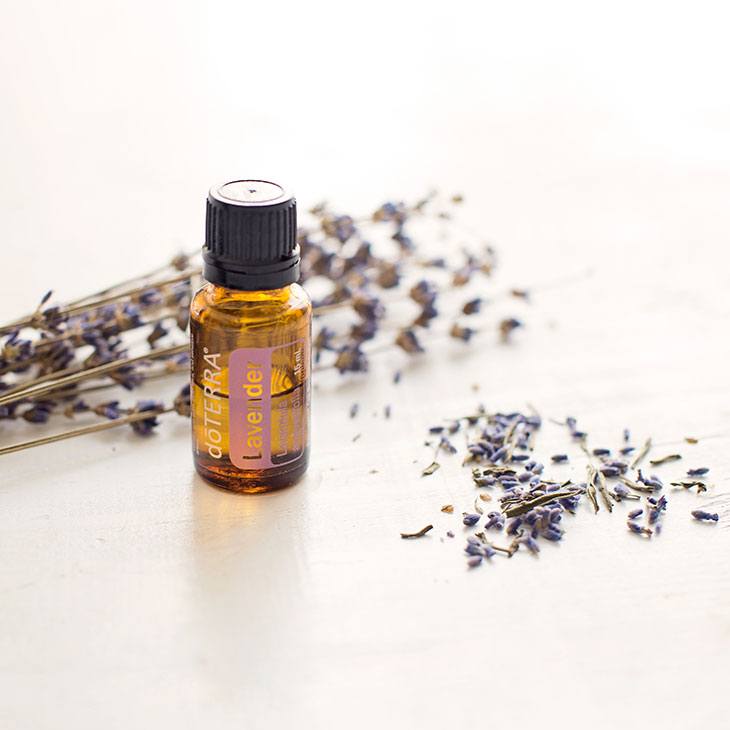 lavender essential oil for dog anxiety
