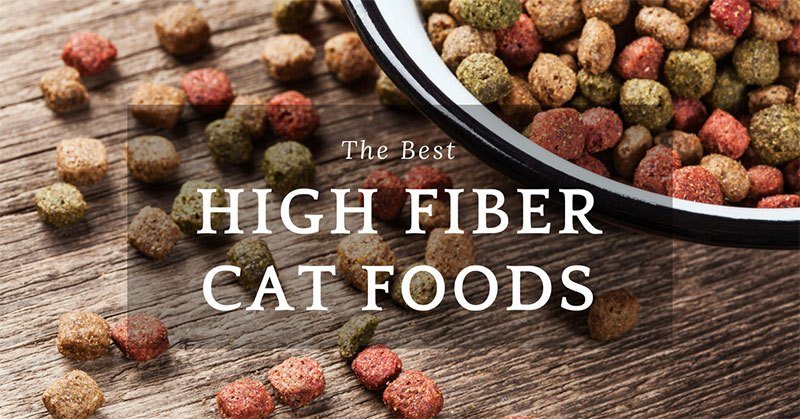 high fiber cat foods