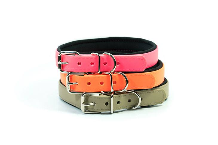 best dog collars for big dogs