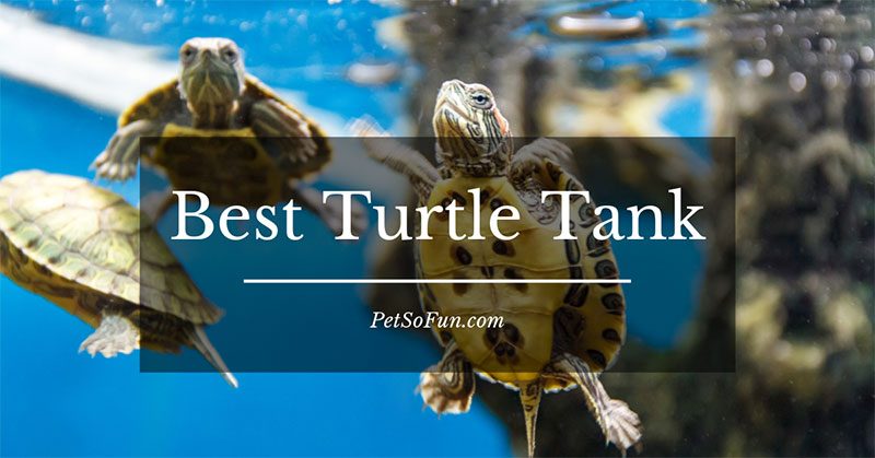 best turtle tank reviews
