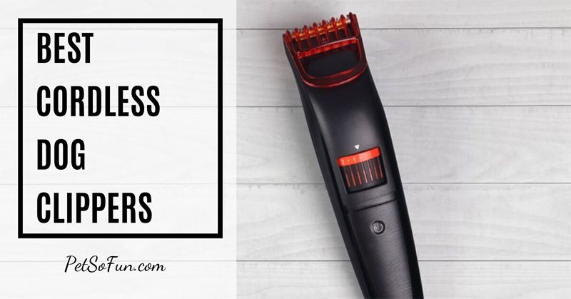 best cordless dog clippers