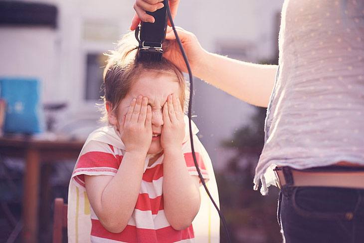 can i cut dog's hair with human clippers