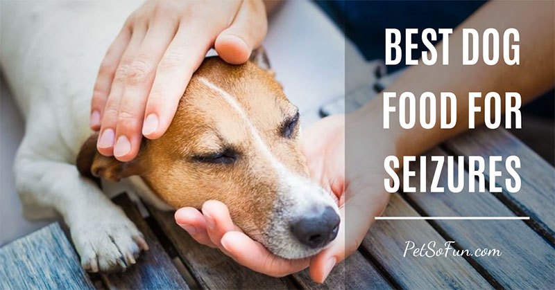 Best Dog Food for Seizures of 2019: Do NOT Buy Before ...