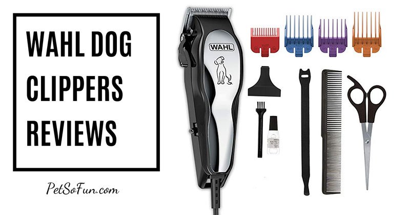 wahl dog clippers reviews