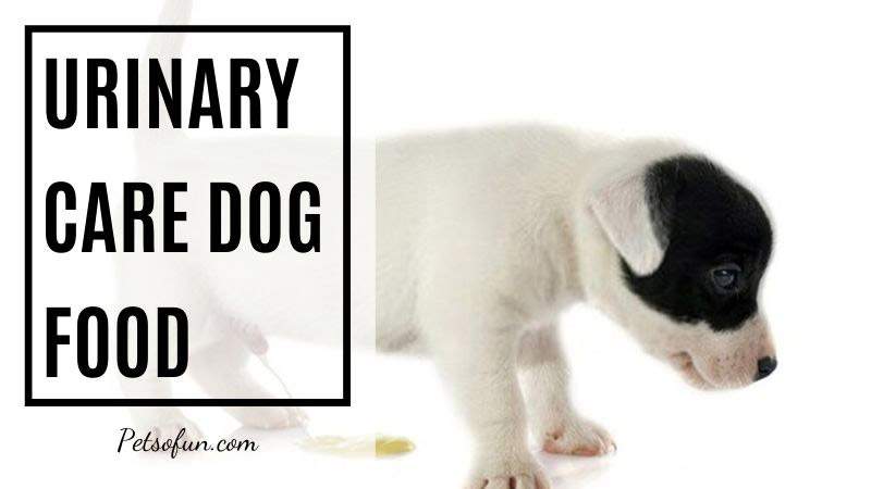 urinary care dog food
